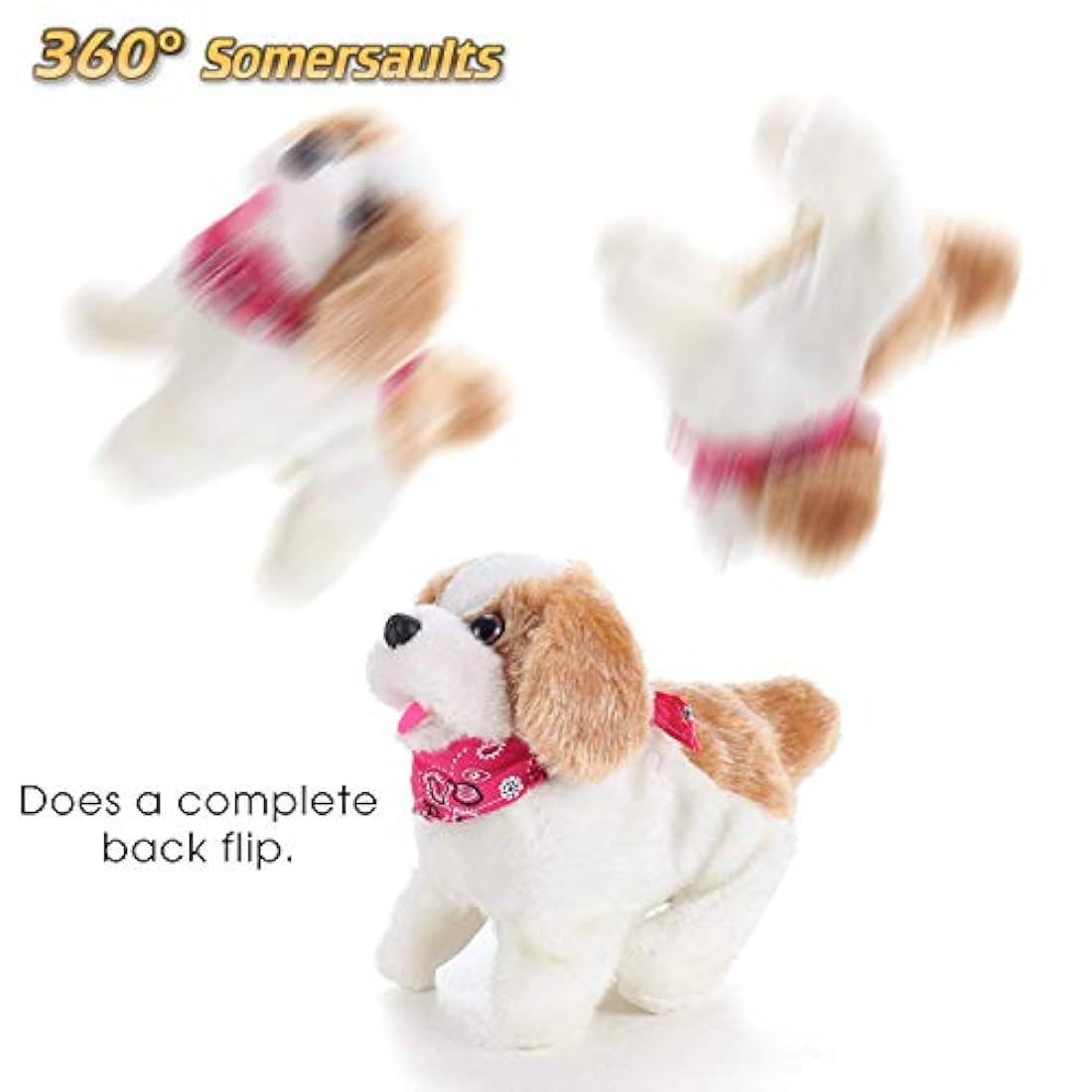 Perro saltando Cute Little Puppy, marometas, paseos