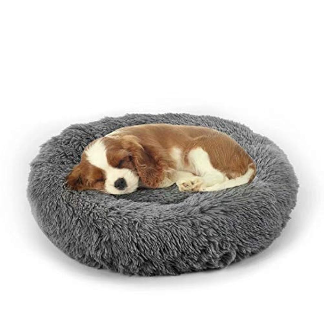 Cama calmante ortopédica para perros y gatos Small(58x58)cm