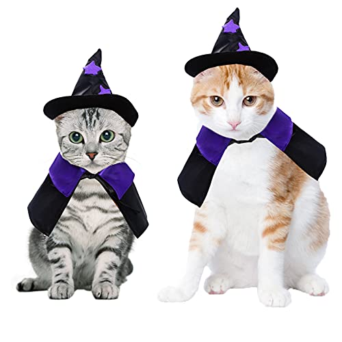 Dxhycc Disfraz de Halloween para mascotas, disfraz de mago de gato, disfraz divertido de mago y sombrero de mago para perros pequeños, trajes de gatos