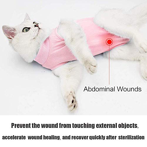 TRAJE de recuoercaion profesional para gatos para heridas abdominales y enfermedades de la piel, alternativa de cuello electrónico para gatos y perros, después de la cirugía, antilamer y recomendado por veterinarios (rosa, L
