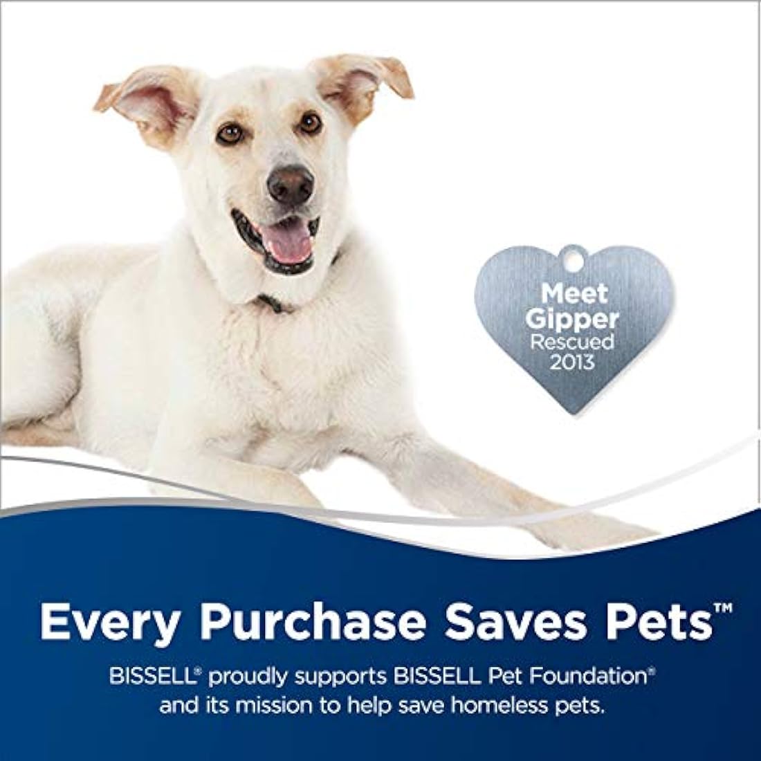 Bissell PowerSteamer, vaporizador de mano para exteriores