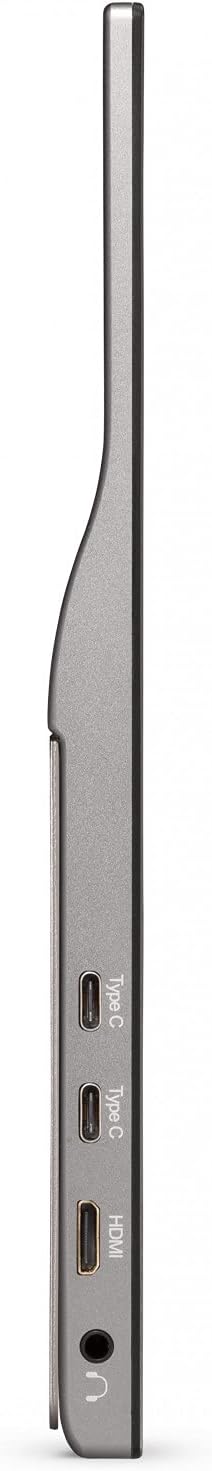 Monitor portátil de 15.6 pulgadas 1080p ViewSonic VG1655