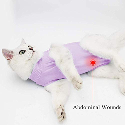 Traje de recuperación profesional para gatos para heridas abdominales y enfermedades de la piel, alternativa de cuello electrónico para gatos y perros, después de la cirugía, antilamer y recomendado por veterinarios (morado, L