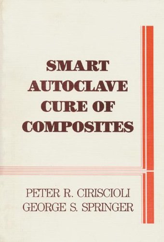 Libro Autoclave inteligente de curado de compuestos