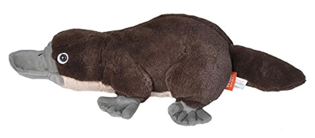 Peluche Platypus