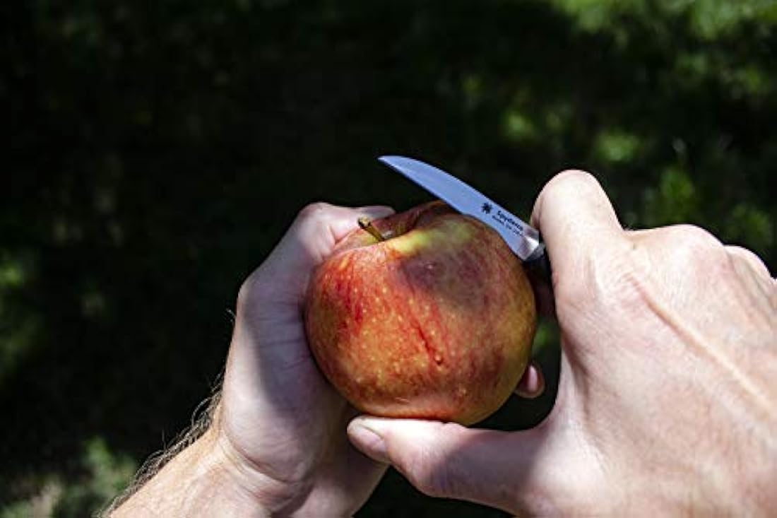 Spyderco Mini cuchillo de pelar