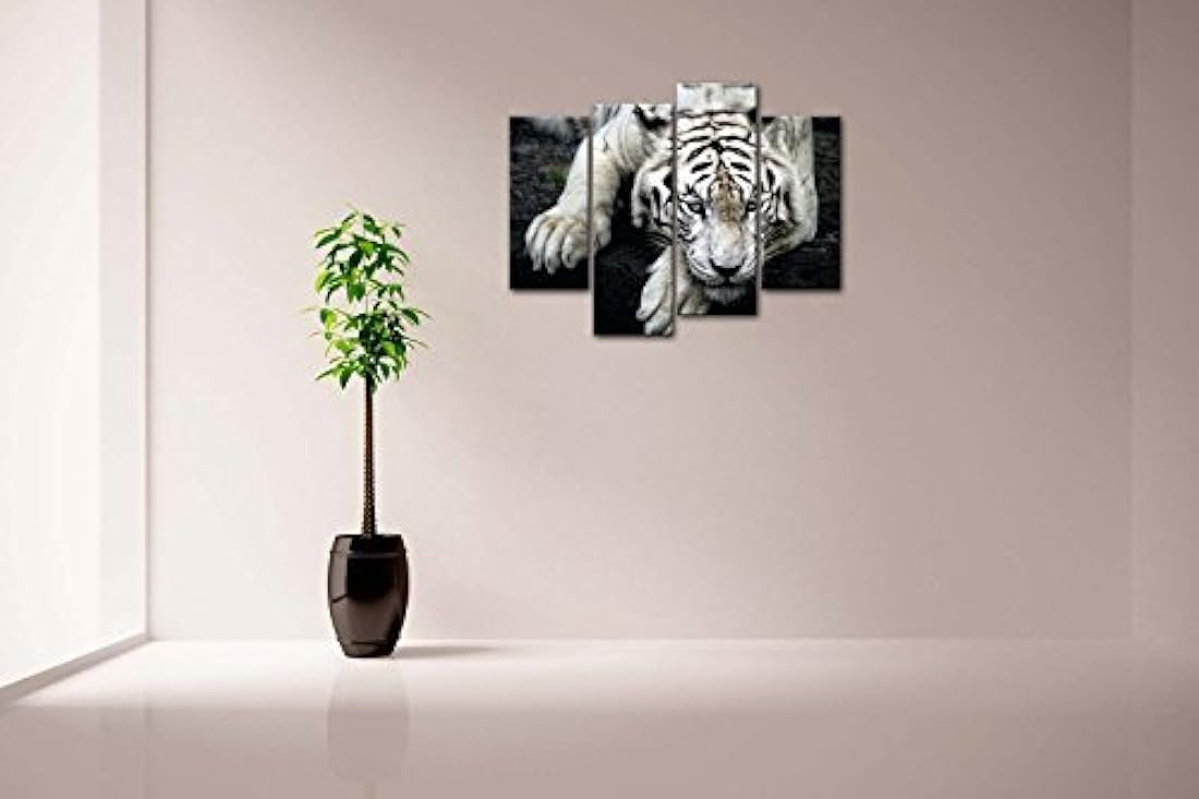 Imágenes impresas en lienzos con diseño en blanco y negro