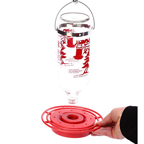 comedero para colibrí con 8 puertos de néctar