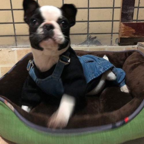 Mono de mezclilla para perro disfraz de gato y mascota