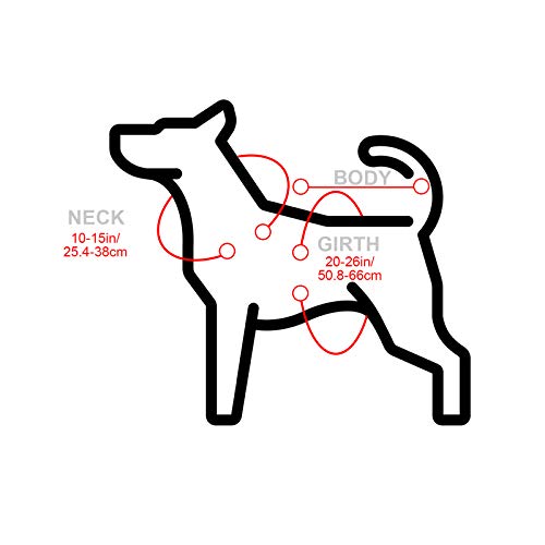 Sombrero para perro, poncho de serape para mascotas, disfraz divertido para perro, multicolor, ajustable, poncho mexicano, sombrero de paja, ropa de Chihuahua, para decoraciones de fiesta mexicana (pequeño)