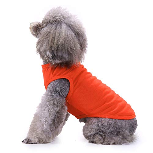 Camisetas para perro 2 unidades, talla pequeña
