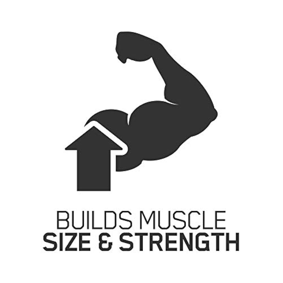 Optimum Nutrition Creatina Micronizada en polvo