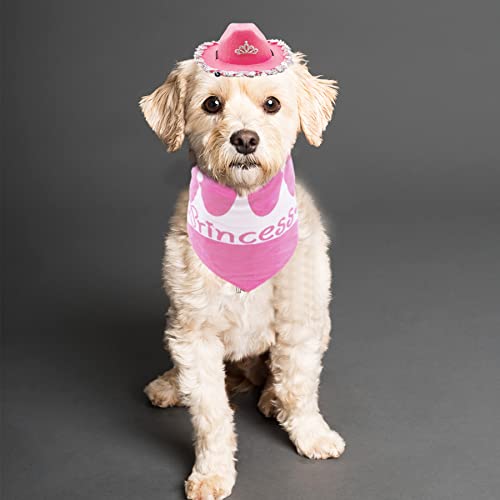 PET SHOW Juego de 2 sombreros de vaquero para perros pequeños, con bandana, con bandana, con diseño de vaca y niña, bandana para perro, disfraz de vaquero occidental, accesorios para cachorros medianos, gatos, conejos, cumpleaños, fiesta, uso diario