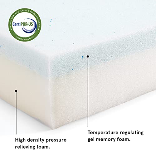 Barkbox Cama para perro con plataforma de espuma viscoelástica, colchón de felpa para alivio ortopédico, lavable a máquina con funda extraíble y forro resistente al agua, incluye juguete chirriador