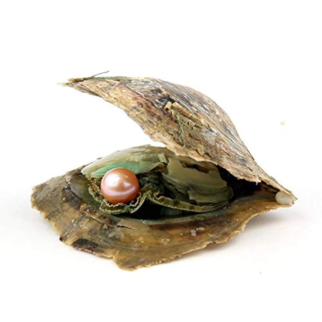 Dijes y Medallas Oyster con perlas redondas