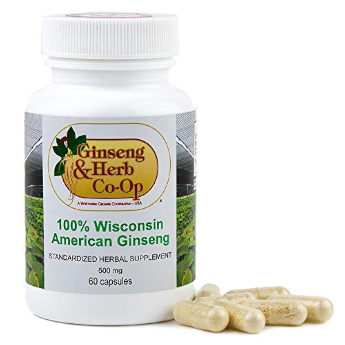 100% puro Wisconsin el Ginseng