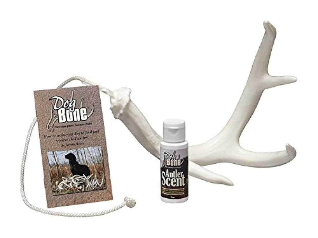 DogBone - Sistema de recuperación de cuernos para perros