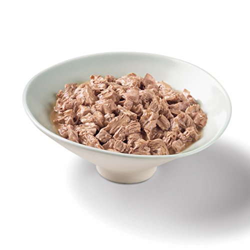 mariscos a la parrilla comida húmeda para gatos