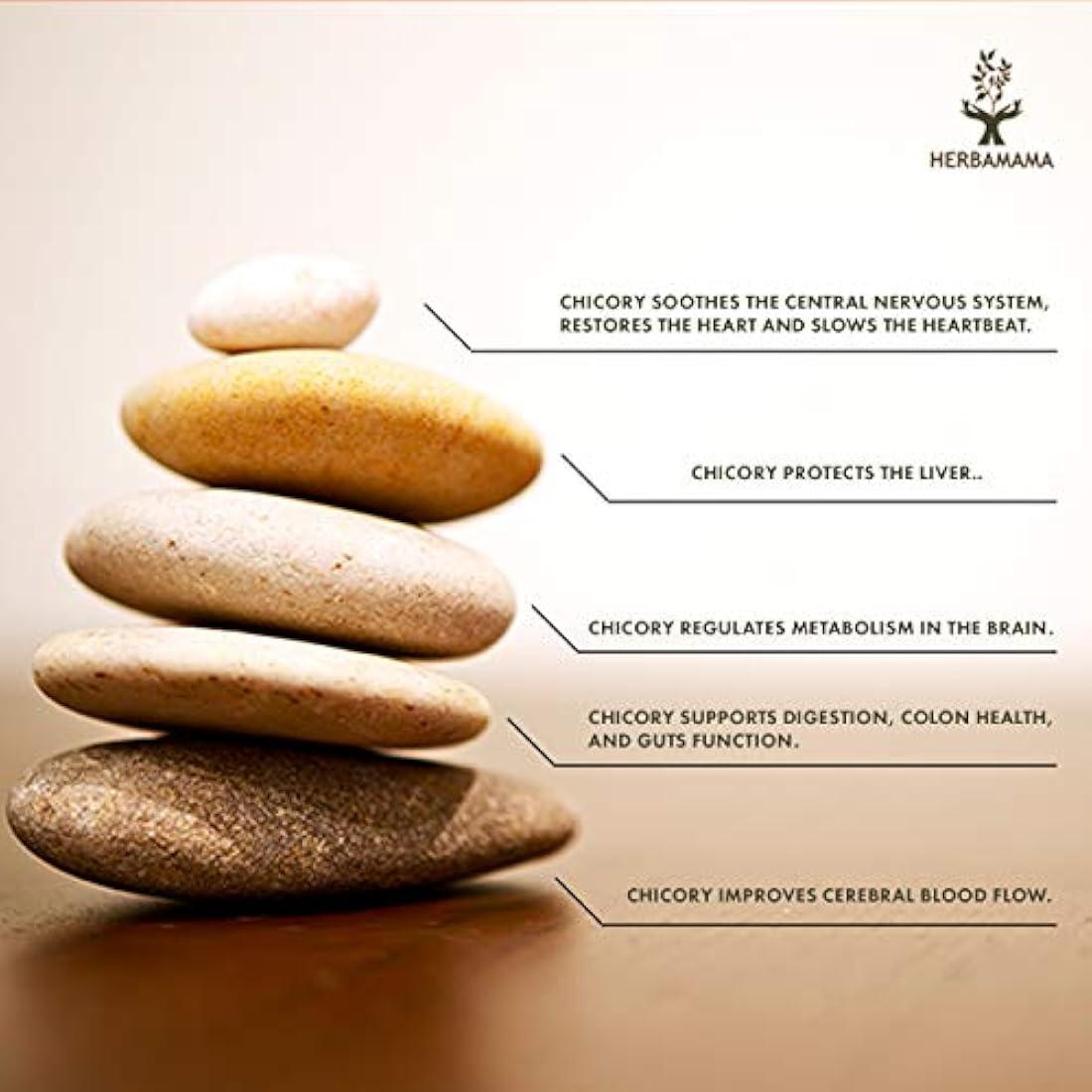 Achicoria 250 Cápsulas 500 mg Relleno con raíz de achicoria