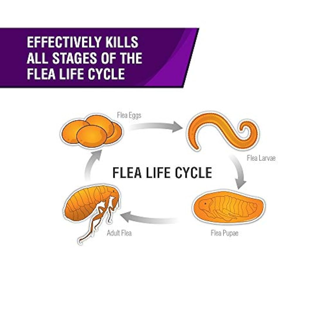 Tratamiento para perros pequeños pulgas y garrapatas.