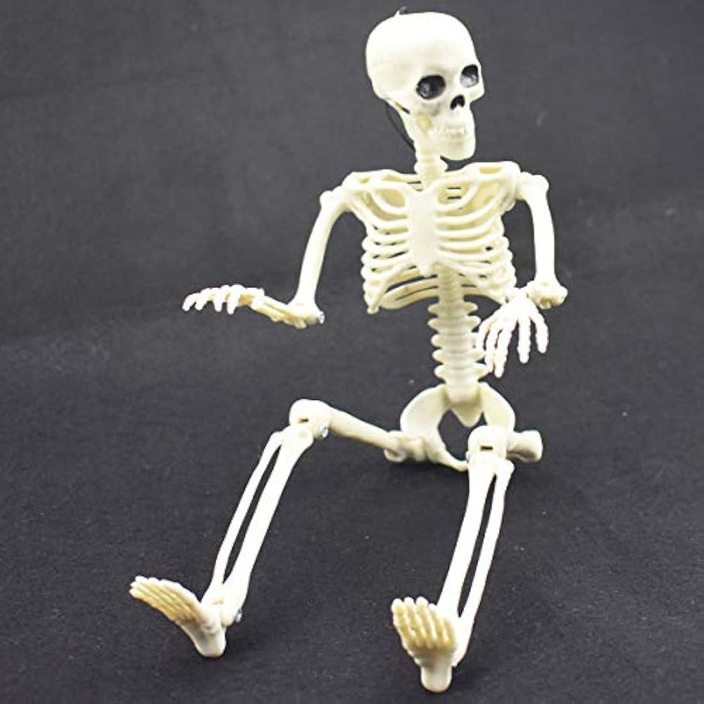 Esqueleto de Halloween de 16 pulgadas con articulaciones
