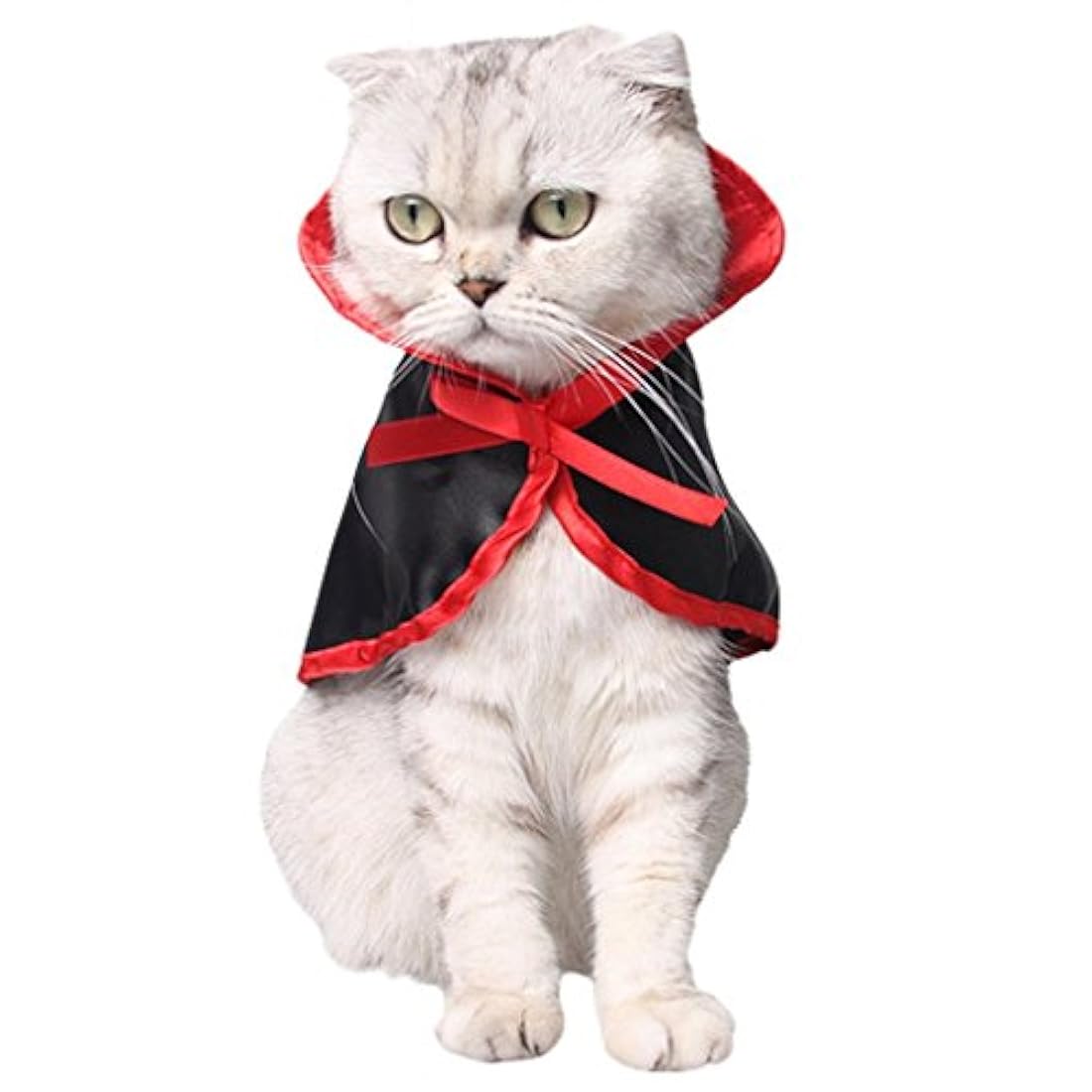 Disfraces de Halloween para mascotas s-lifeeling