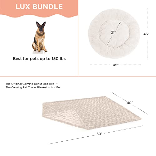 Cama original para perros tamaños XL