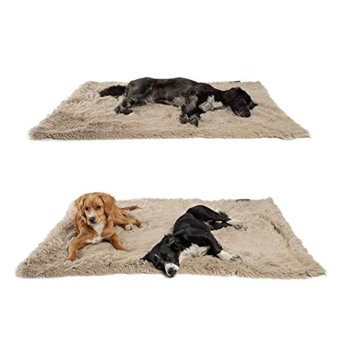 Cobija marrón Best Friends by Sheri