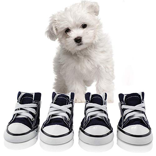 Botas, zapatillas y zapatos deportivos de lona para cachorros de abcGoodefg, zapatos casuales no deslizantes para exteriores, suela de goma y tela interna de algodón suave, Azul
