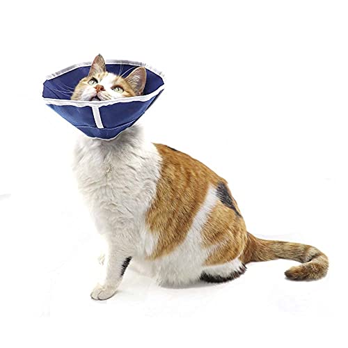QIYADIN Pethouzz - Collar suave para recuperación de gatos, collar de cono de gato, cuello Elizabeth de tela no tejida, bucles, protector de heridas especialmente diseñado para gatos, fácil de comer y beber para gatos