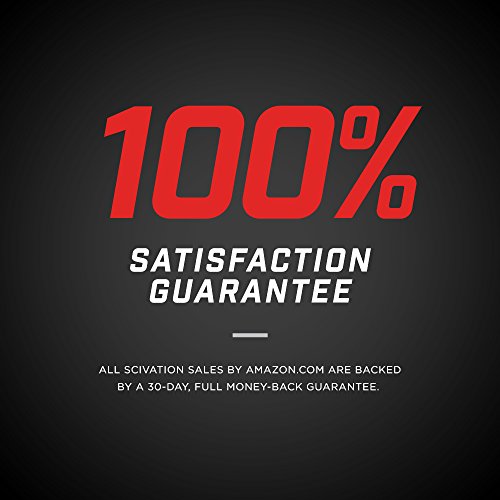 Scivation Xtend BCAA Powder Aminoácidos de cadena ramificada