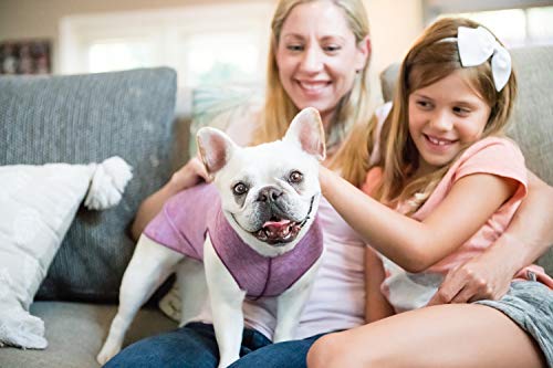 Camiseta para perro con protección UV, alivia la ansiedad de las mascotas, protege heridas, previene las colas de zorro, alopecia, lavable a máquina, para uso durante todas las estaciones, 28, Violeta