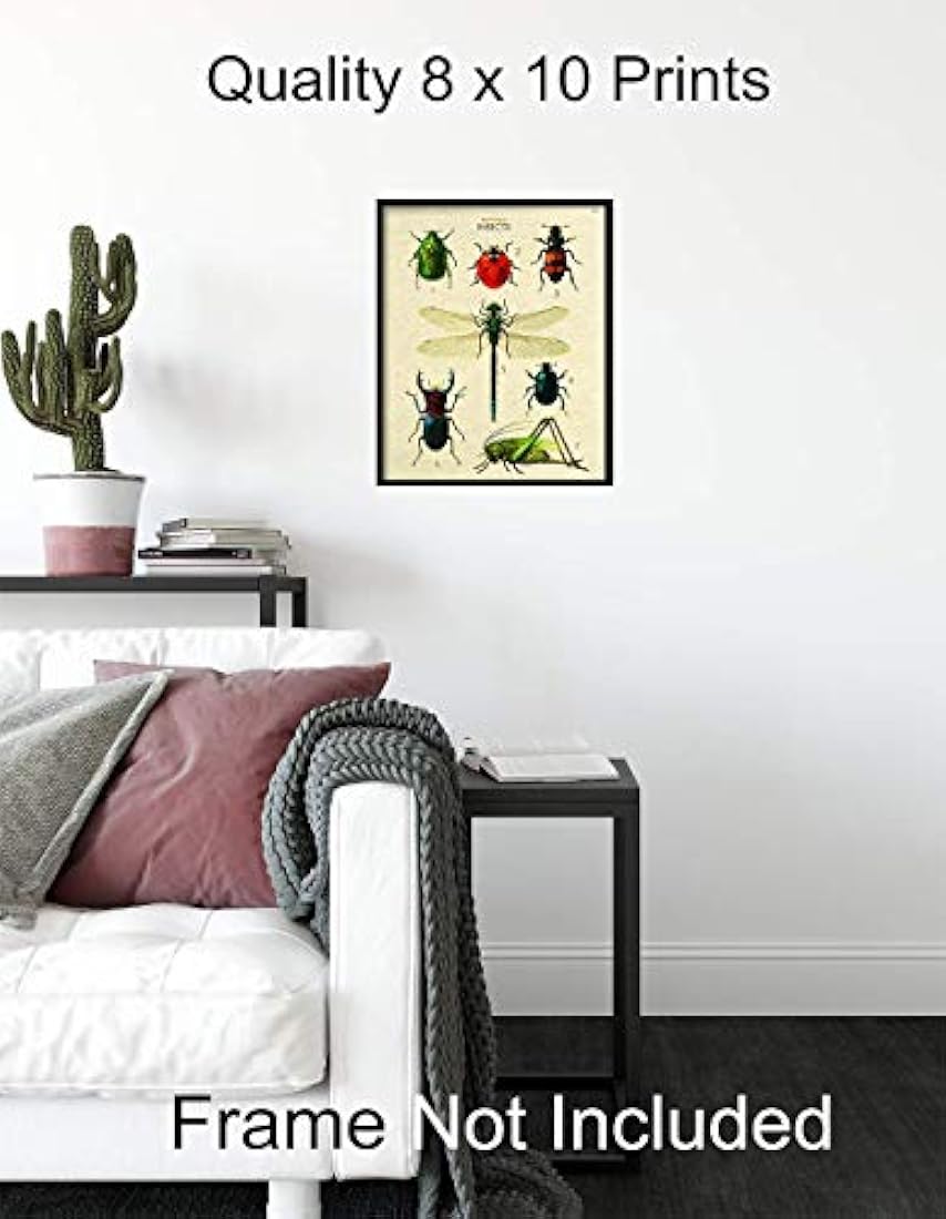 póster de arte de pared 8x10 póster de error científico