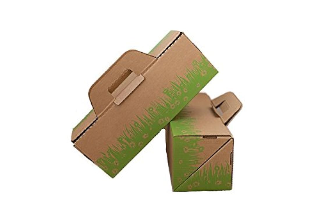 Cajas de arena de diez segundos para gatos