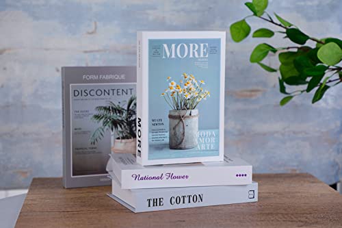 Outgeek Juego de 4 libros decorativos: decoración moderna