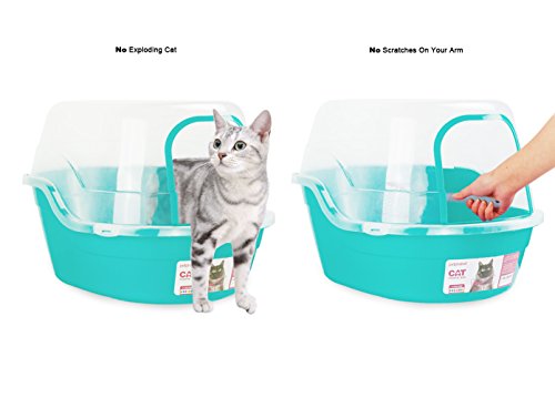 Caja de arena para gatos con capucha Petphabet Jumbo