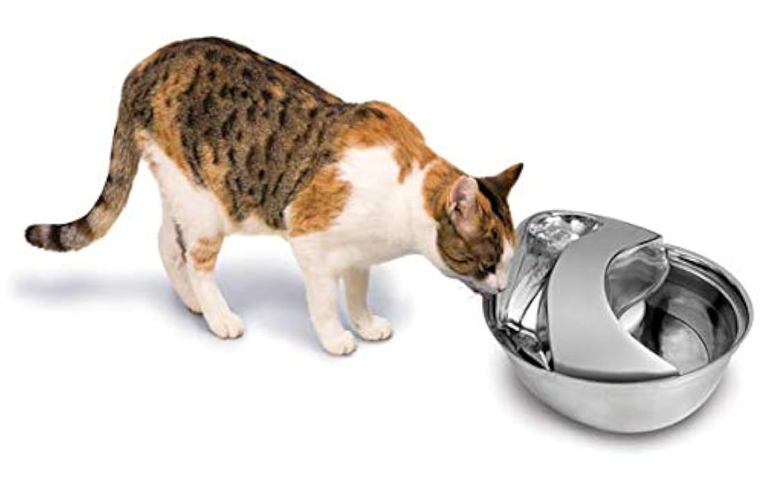 Bebedero para gatos Pioneer Pet Raindrop Fountain