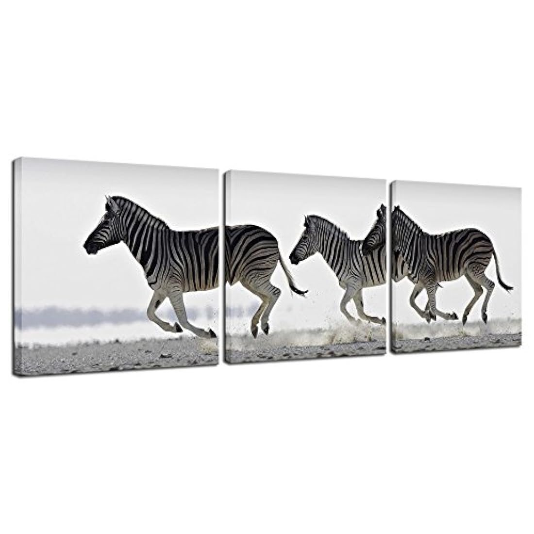 3 paneles de Pinturas para decoración de pared