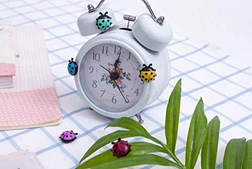 TabEnter Imanes decorativos para refrigerador perfectos