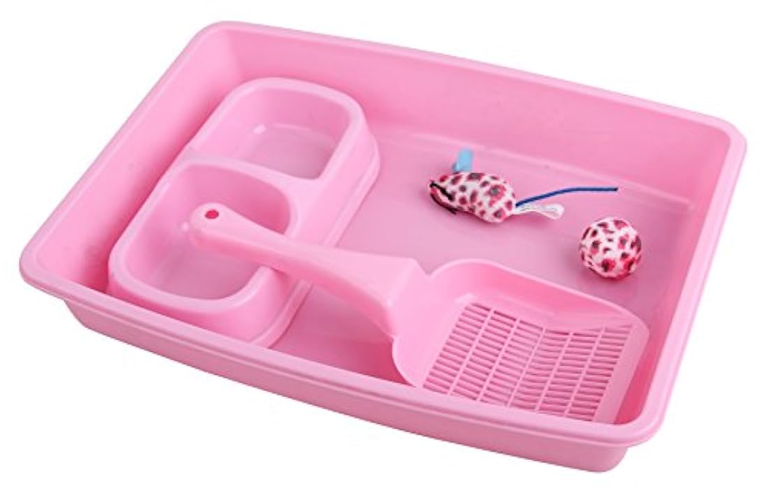 PAWISE Kit de iniciación para gatos, incluye 4 suministros para gatitos, ideal para gatitos pequeños, 14.5 x 10.5 pulgadas