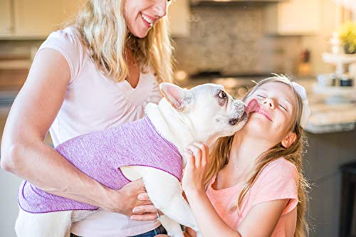 Camiseta para perro con protección UV, alivia la ansiedad de las mascotas, protege heridas, previene las colas de zorro, alopecia, lavable a máquina, para uso durante todas las estaciones, 28, Violeta