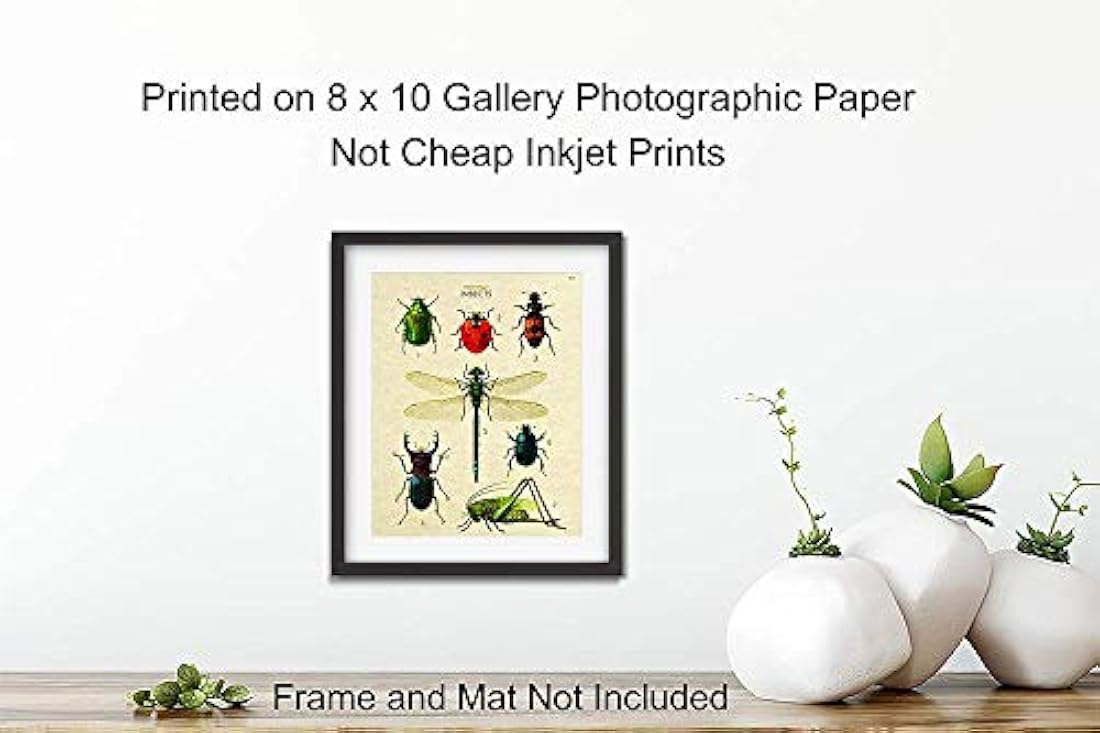 póster de arte de pared 8x10 póster de error científico