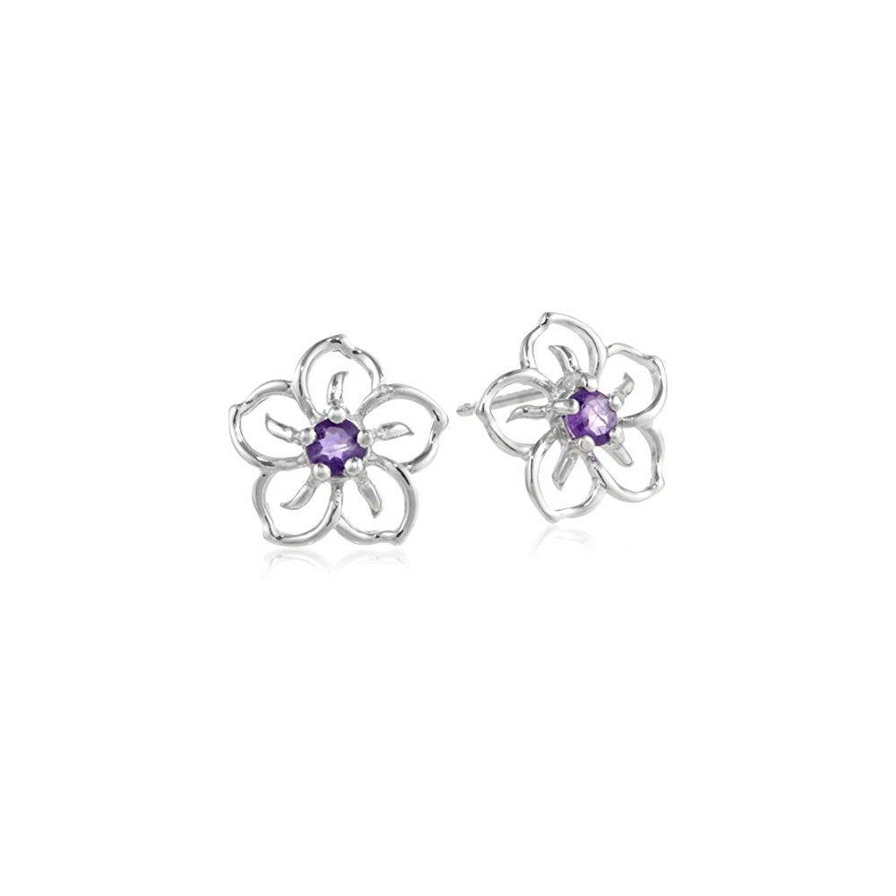 Aretes con diseño de flor de cielo de plata