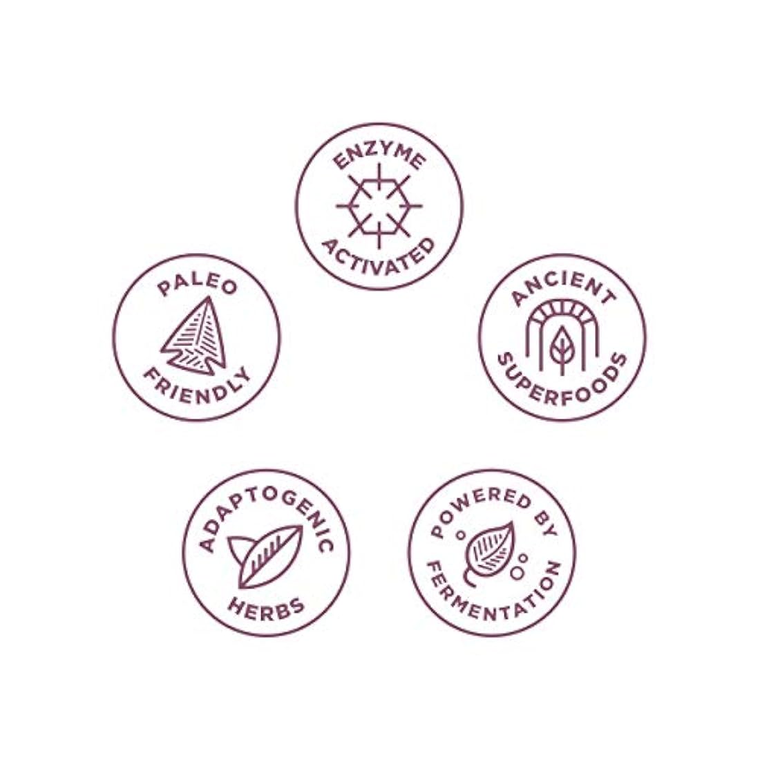 Ancient Multi Women Once Daily – Multi Vitamina y Apoyo Inmune, Hierbas Adaptogénicas, Folato Metilado, Paleo & Keto Friendly, 30 Cápsulas