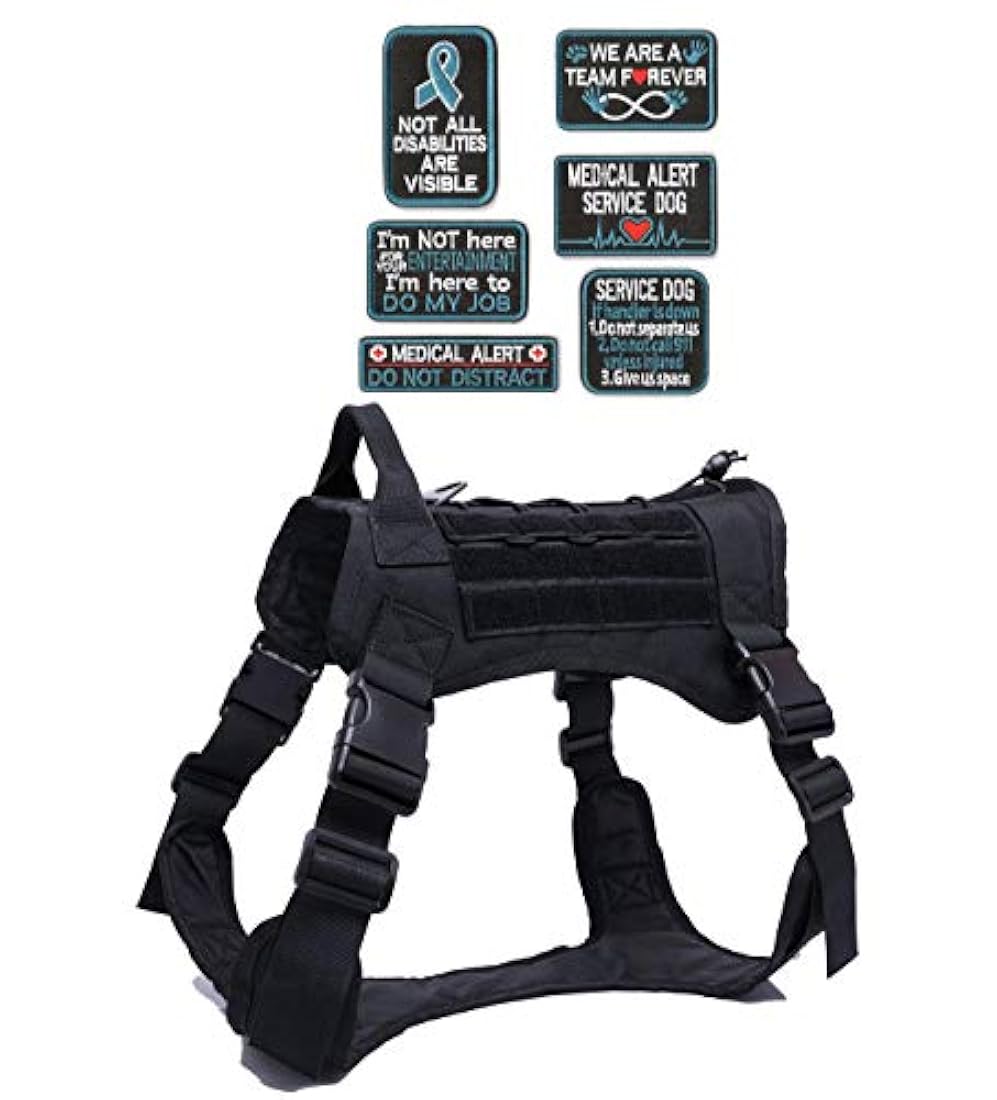 Parches bordados 6 piezas