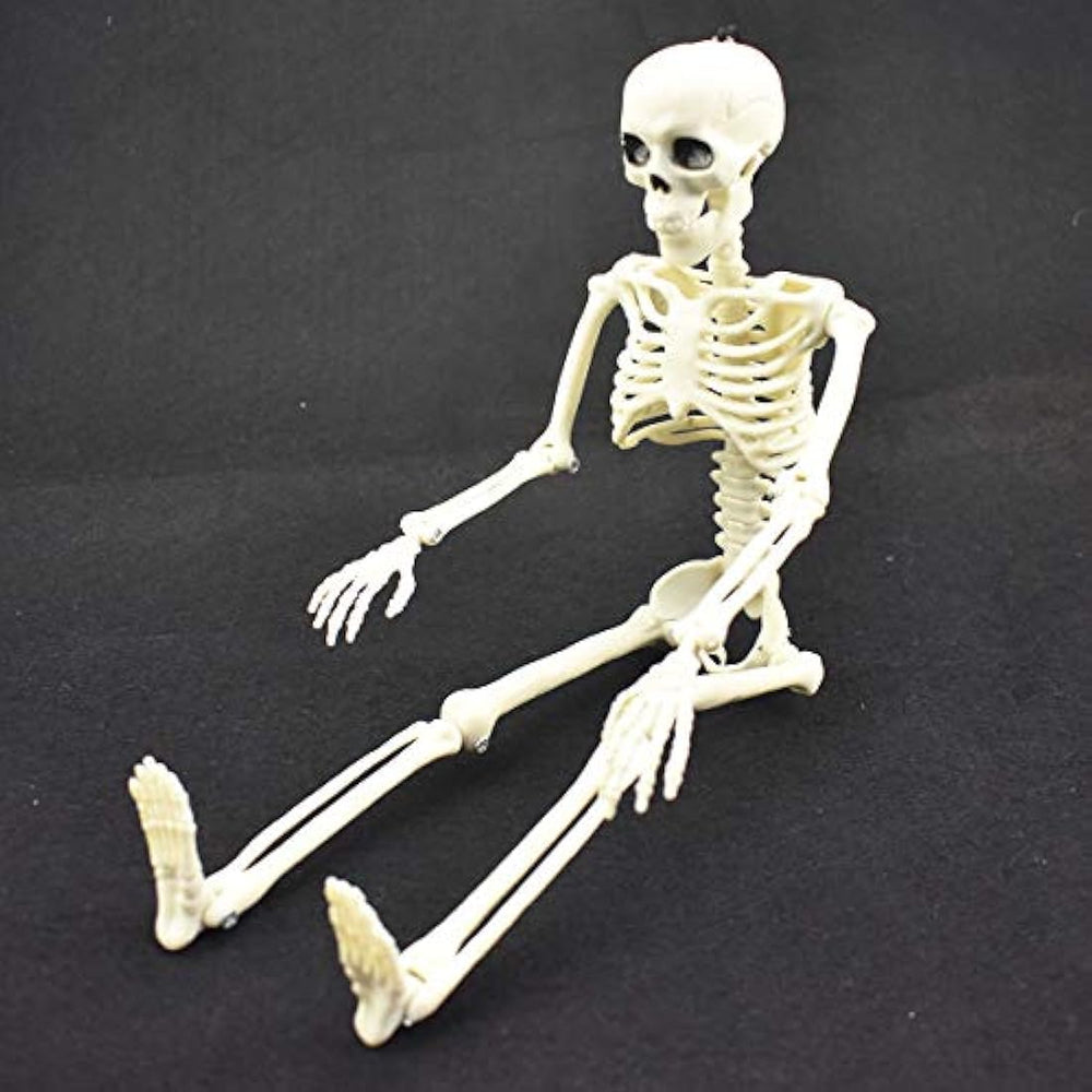 Esqueleto de Halloween de 16 pulgadas con articulaciones