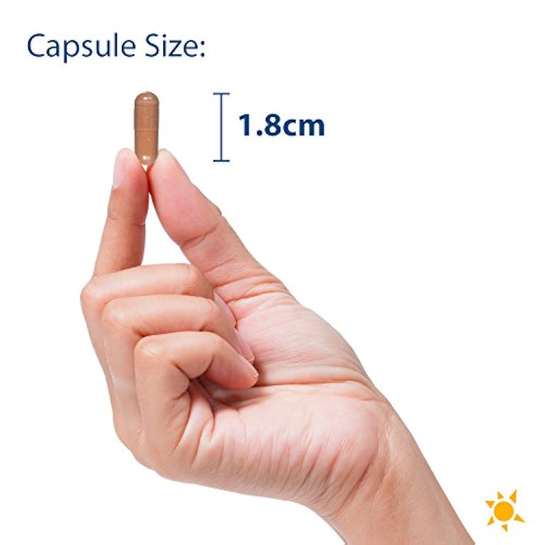 Nutrientes vitales - Extracto de raíz de astrágalo 300 mg