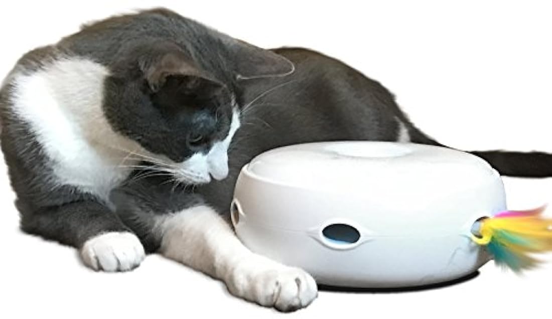 Juguete interactivo para gato