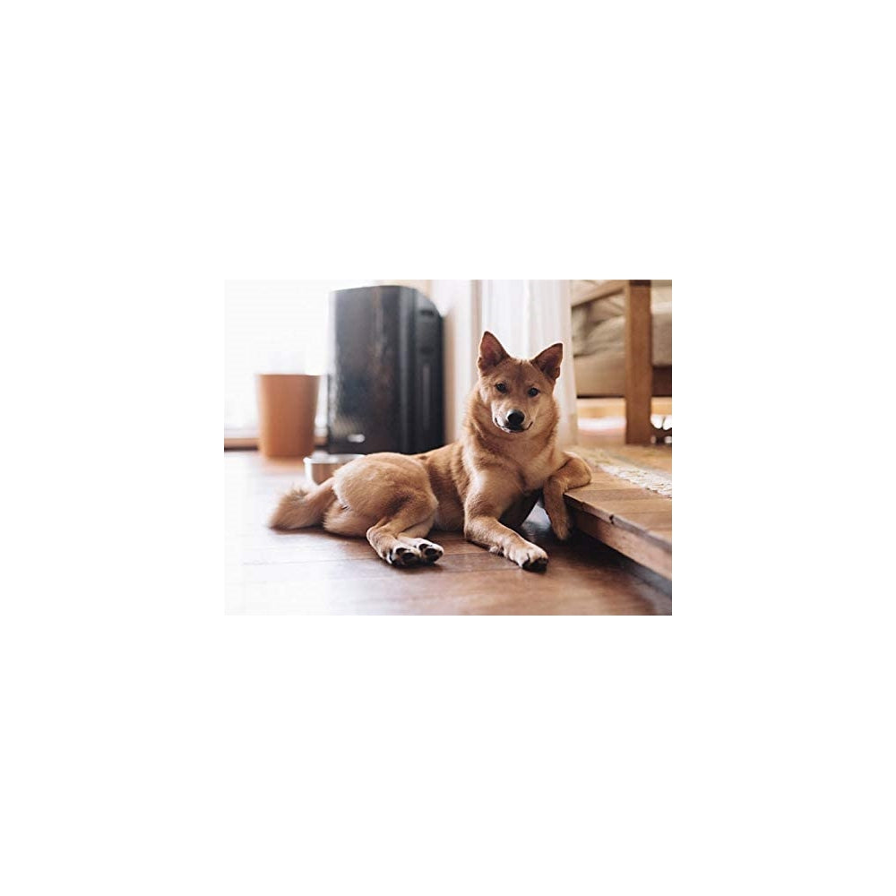 Vitaminas para mascotas probióticos para perros sin cereales