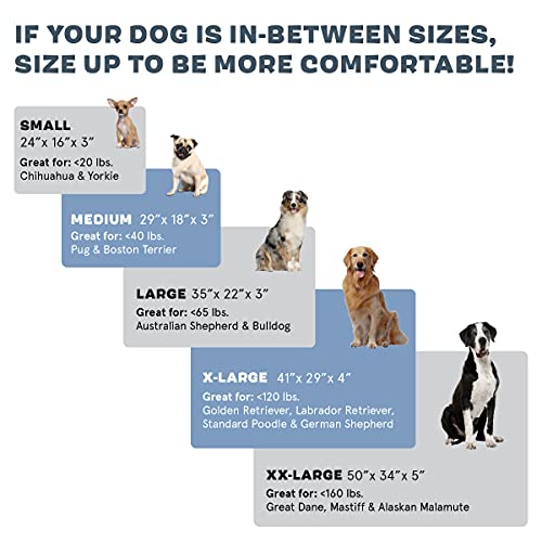 Barkbox Cama para perro con plataforma de espuma viscoelástica, colchón de felpa para alivio ortopédico, lavable a máquina con funda extraíble y forro resistente al agua, incluye juguete chirriador